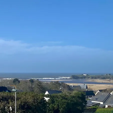 Blue Horizon Vue *